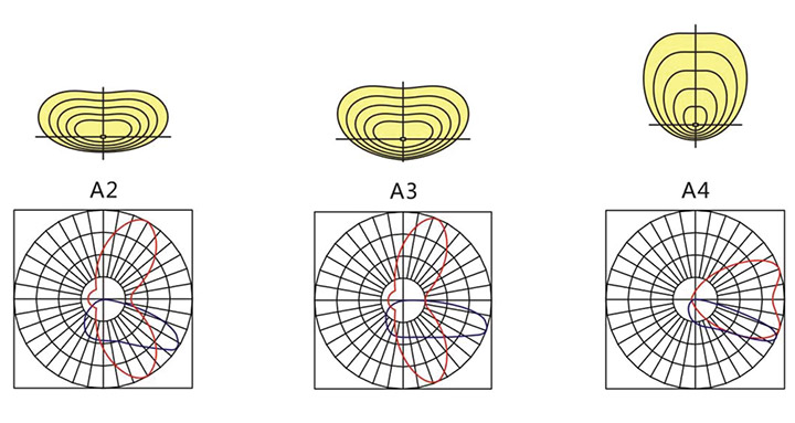 X-Series Available Light Distributions